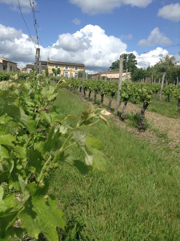 Saint-Sulpice-et-Cameyrac Chateau Nardou酒店 外观 照片