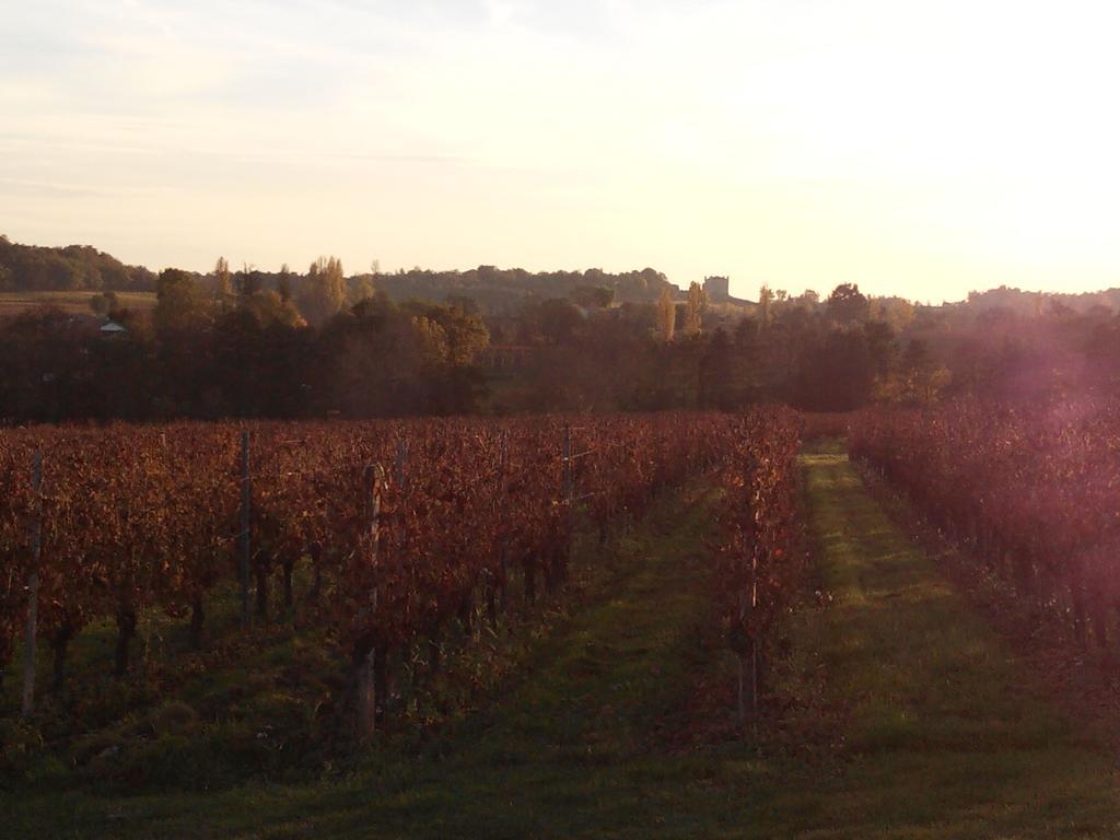 Saint-Sulpice-et-Cameyrac Chateau Nardou酒店 外观 照片